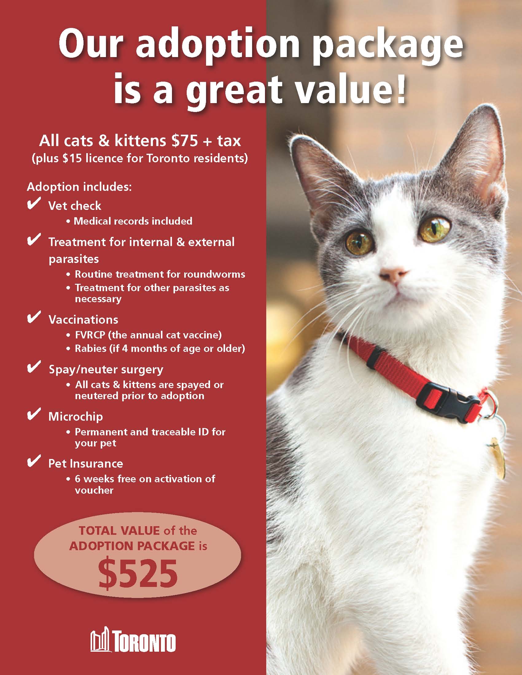 Toronto Animal Services Ad | Canada Pet Stock Photographer - Pet  Photography in Toronto by Posh Pets Photography