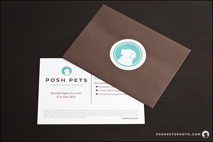 Perfect gifts for the pet lover gift certificate