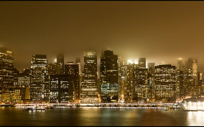 Dogs of New York City | Pet Photography