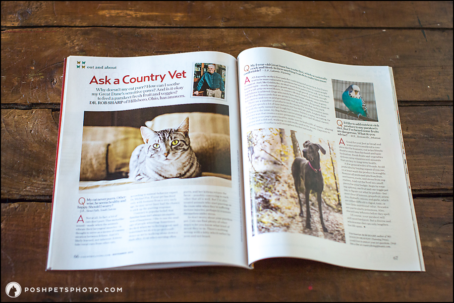 country living magazine featuring Posh Pets Photography