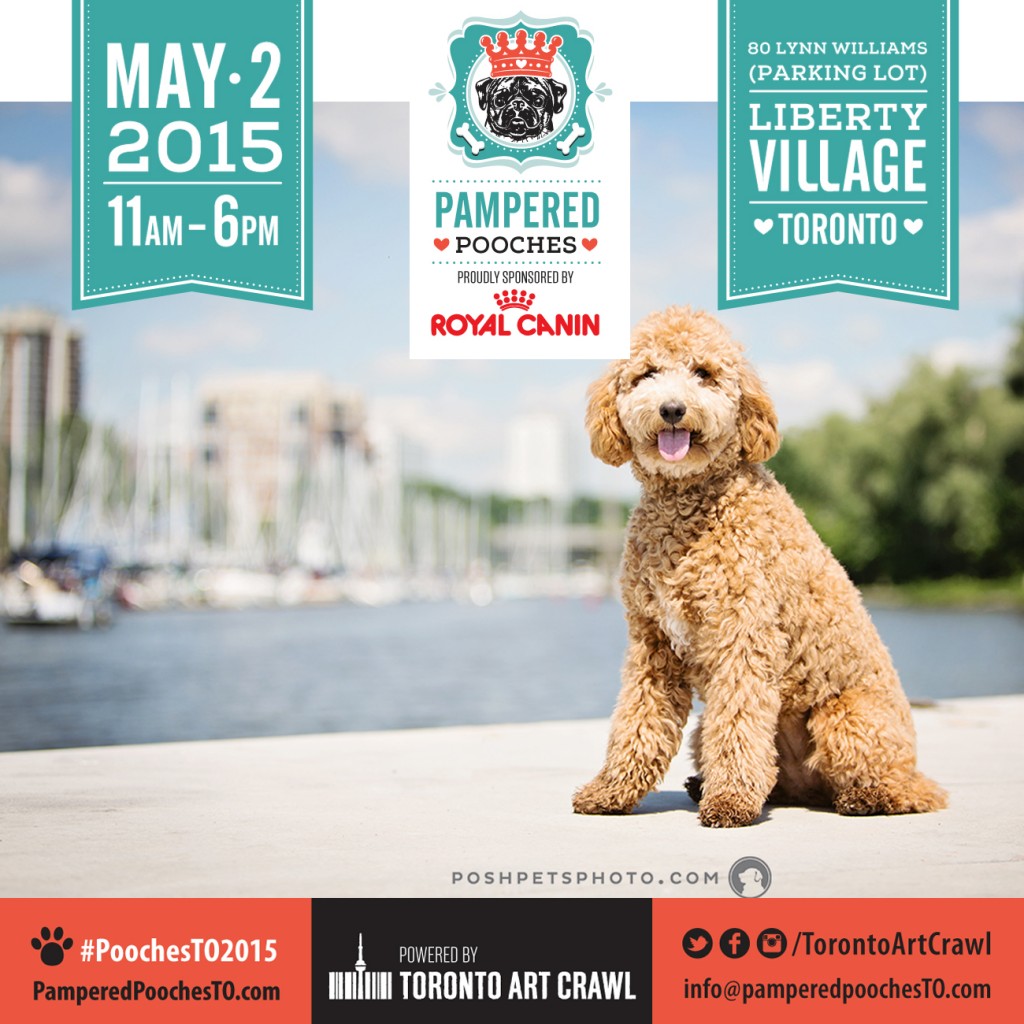 Pampered Pooches Liberty Village 2015