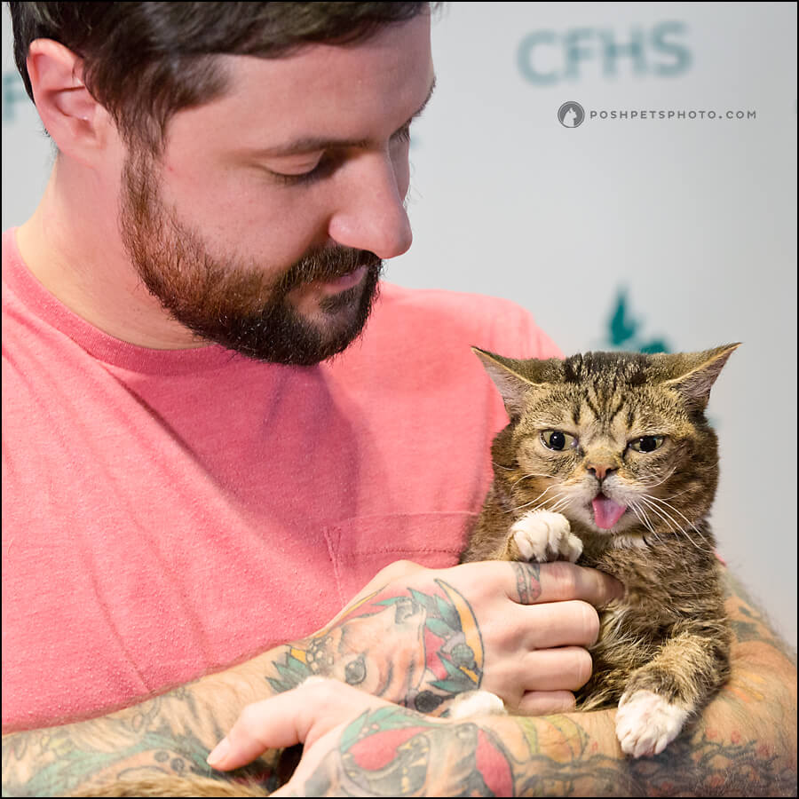 Lil BUB on the red carpet in Toronto