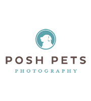 Posh Pets Photography Logo