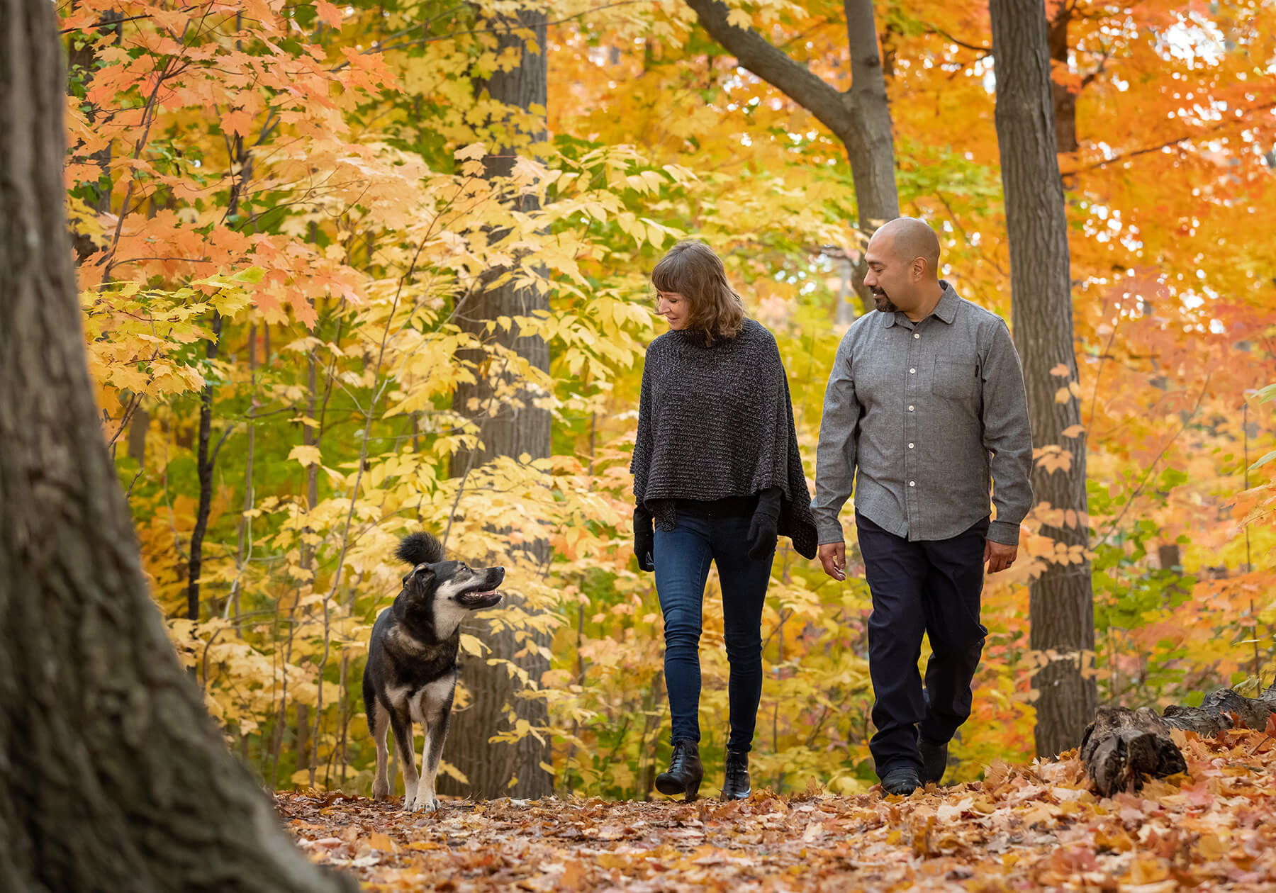 couple walking in fall colours with their rescue dog