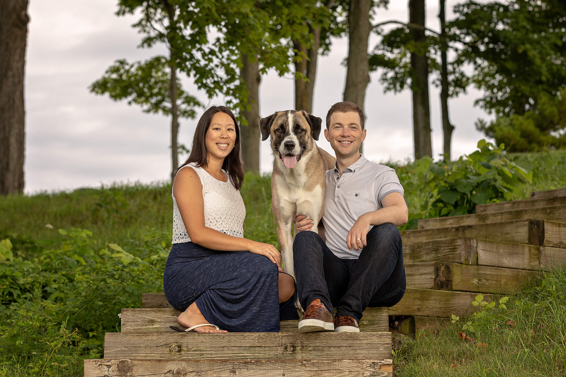 dog family photographed at coppinwood golf course