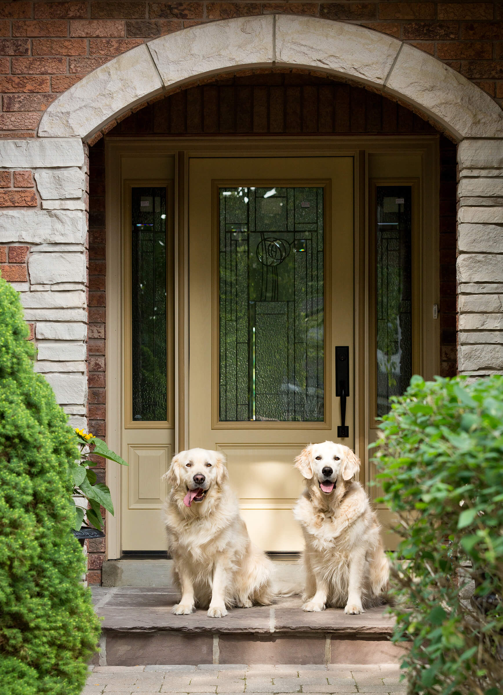 two golden retrievers photographed at front door