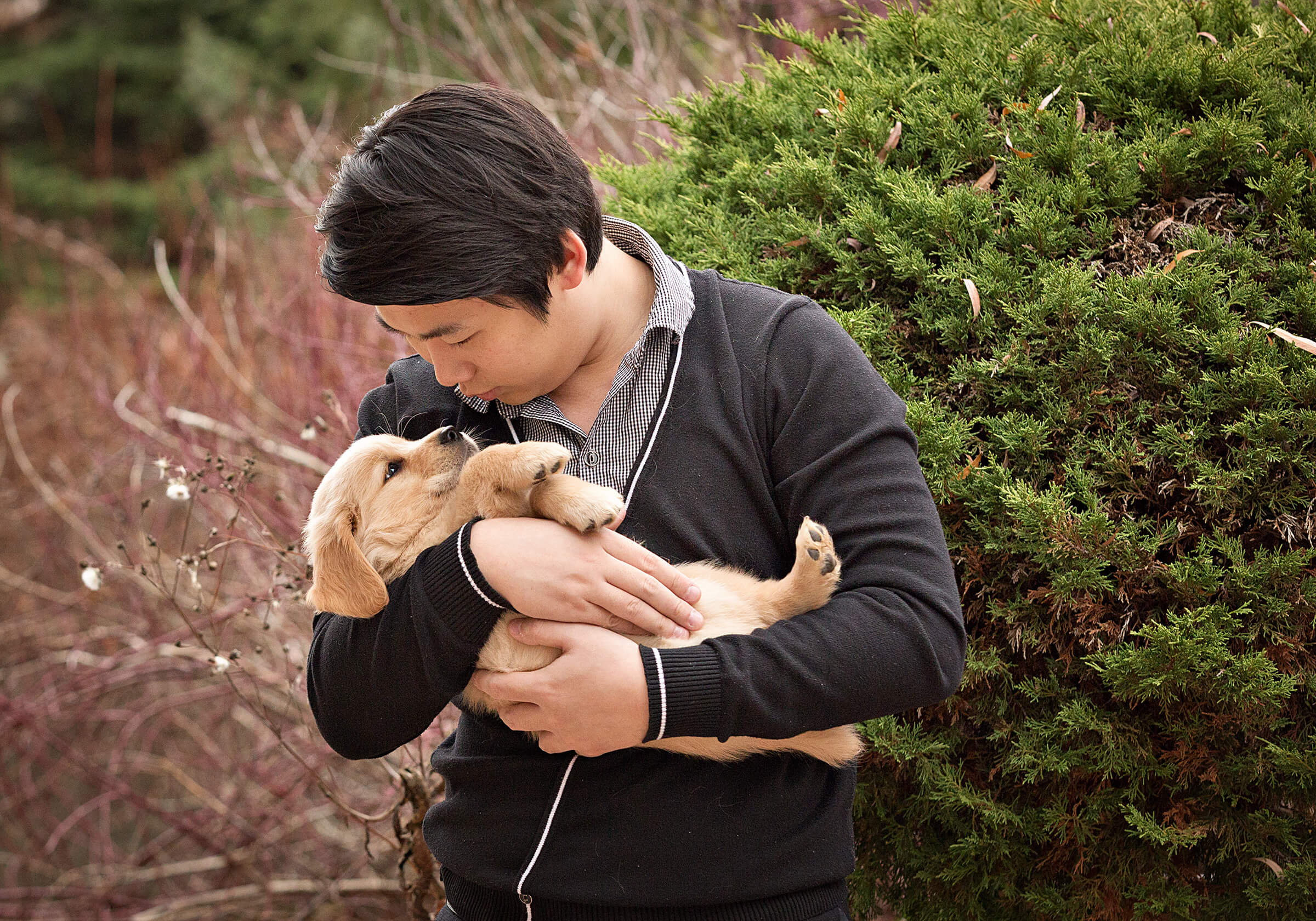 dog dad holding golden retriever puppy