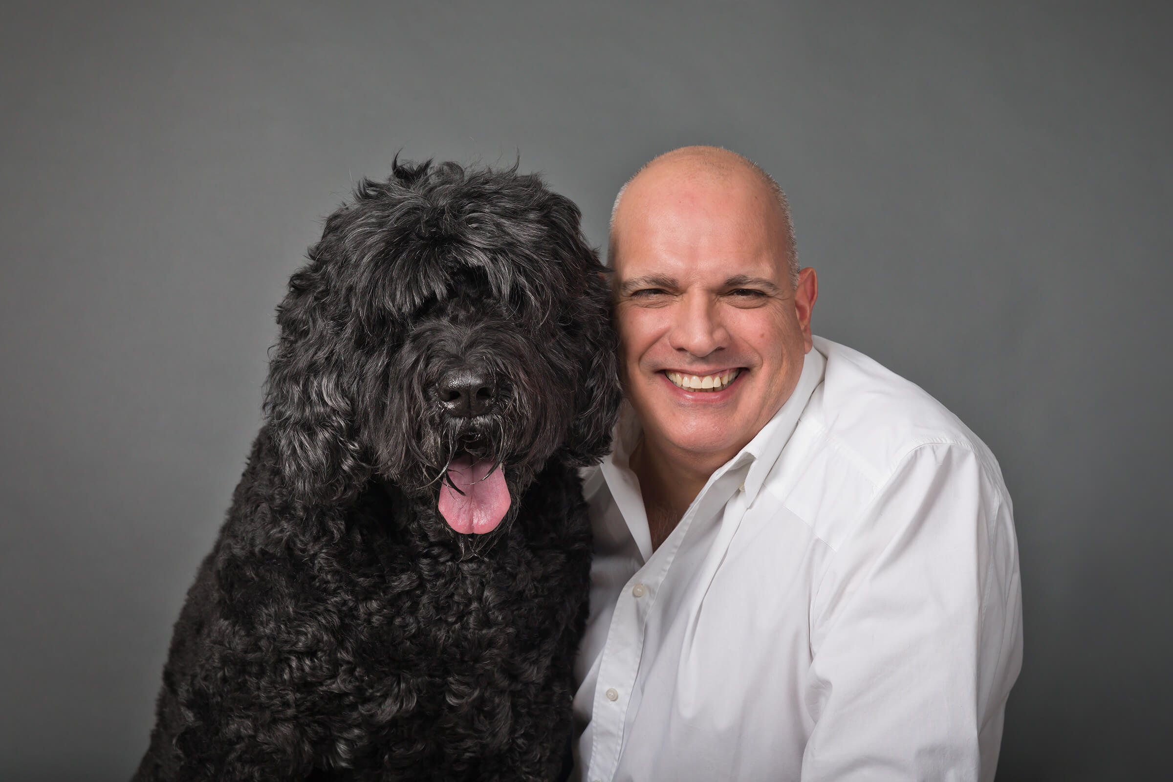 large black dog and dog dad in studio on grey seamless background