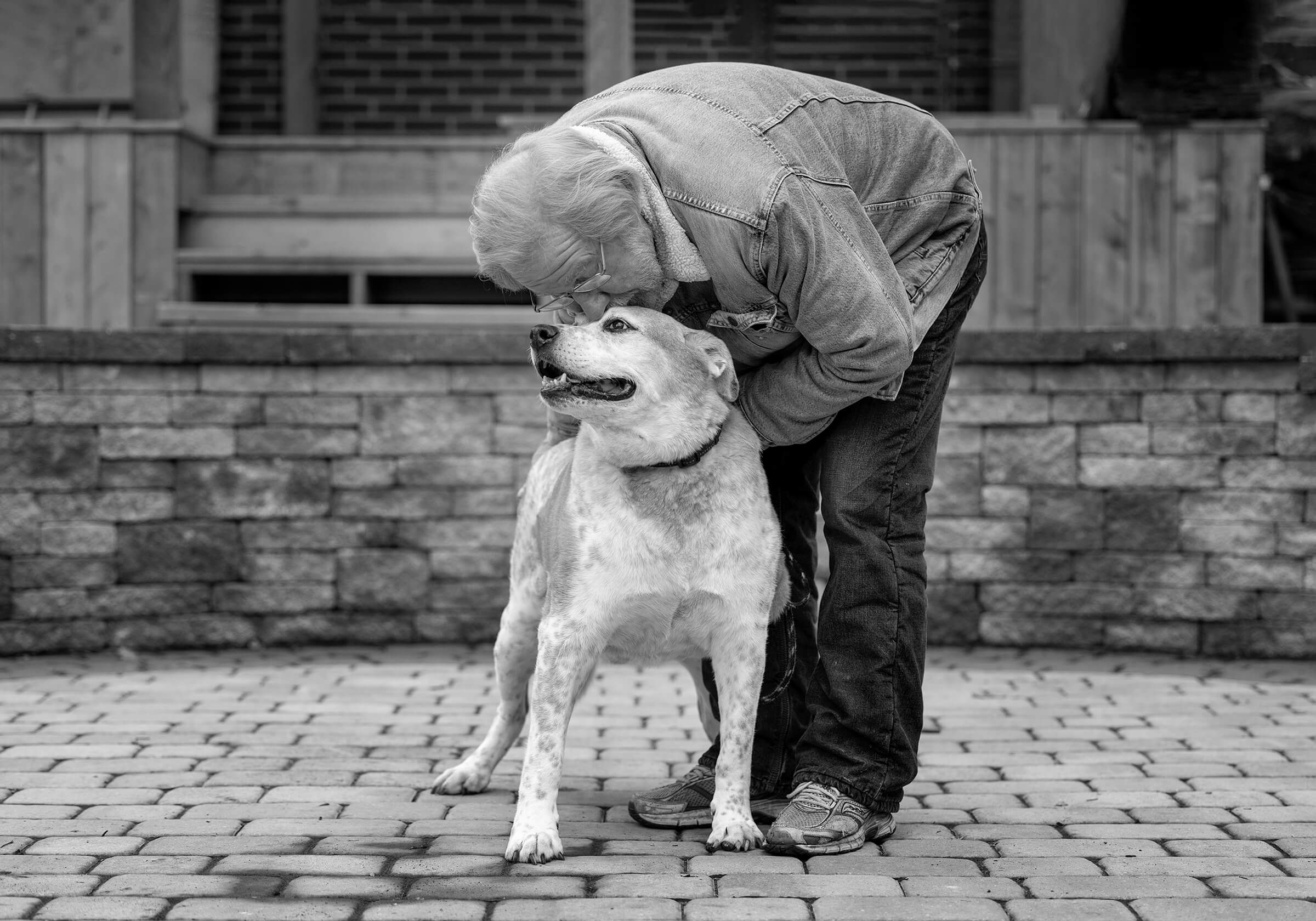 man kissing his senior dog at the end of life heritage session with Posh Pets Photography