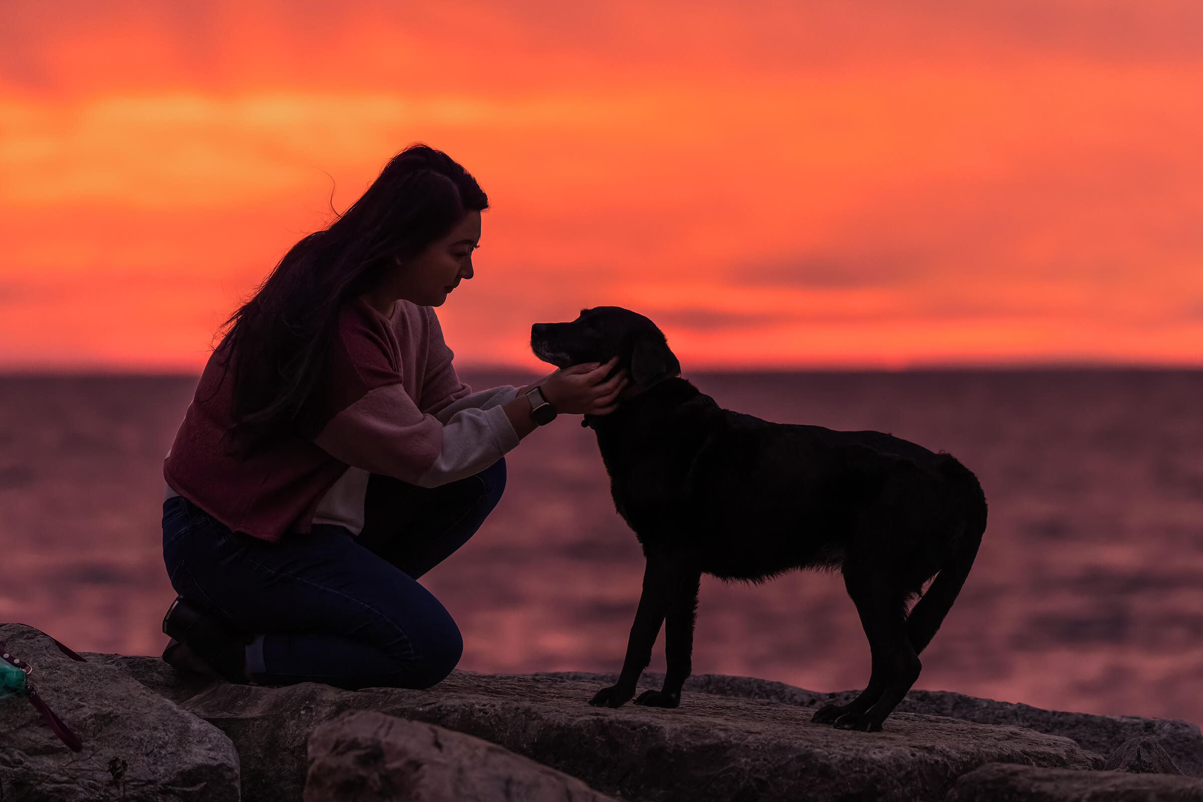 woman and her dog at sunrise during professional photography session in Toronto