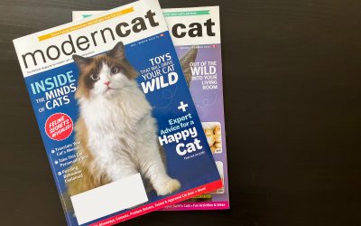 Modern Cat Magazine Cover