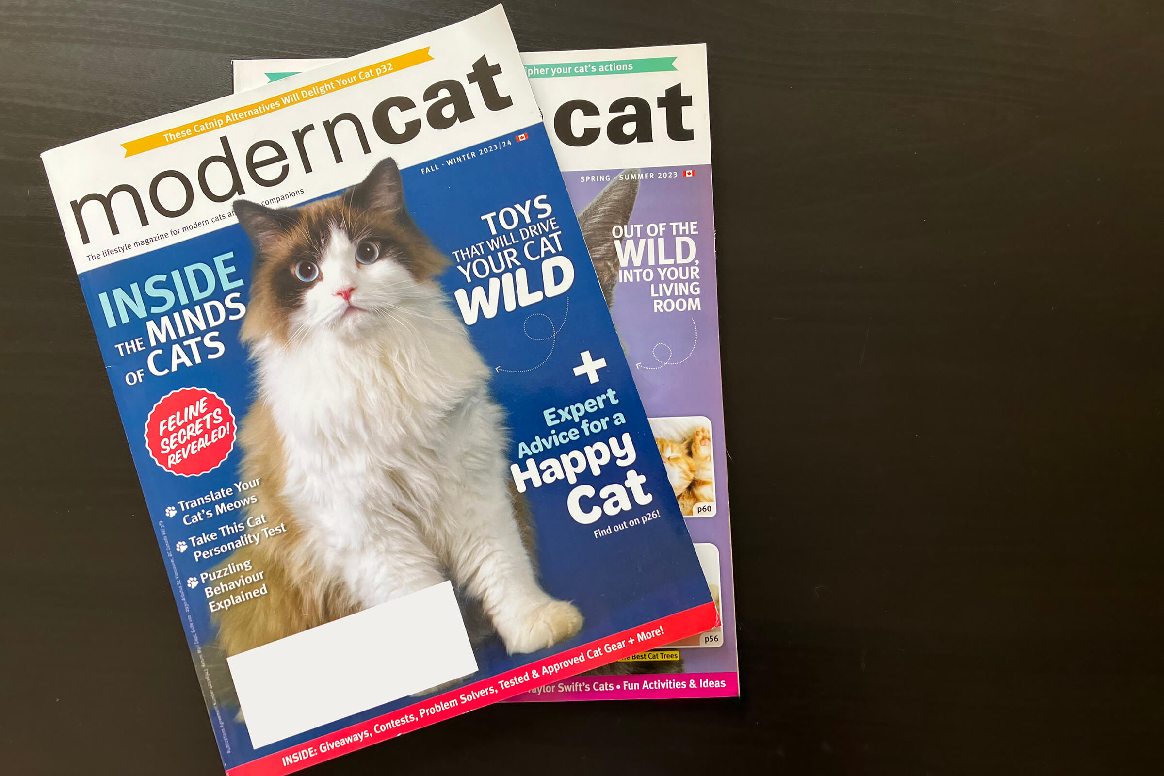 Modern Cat magazine