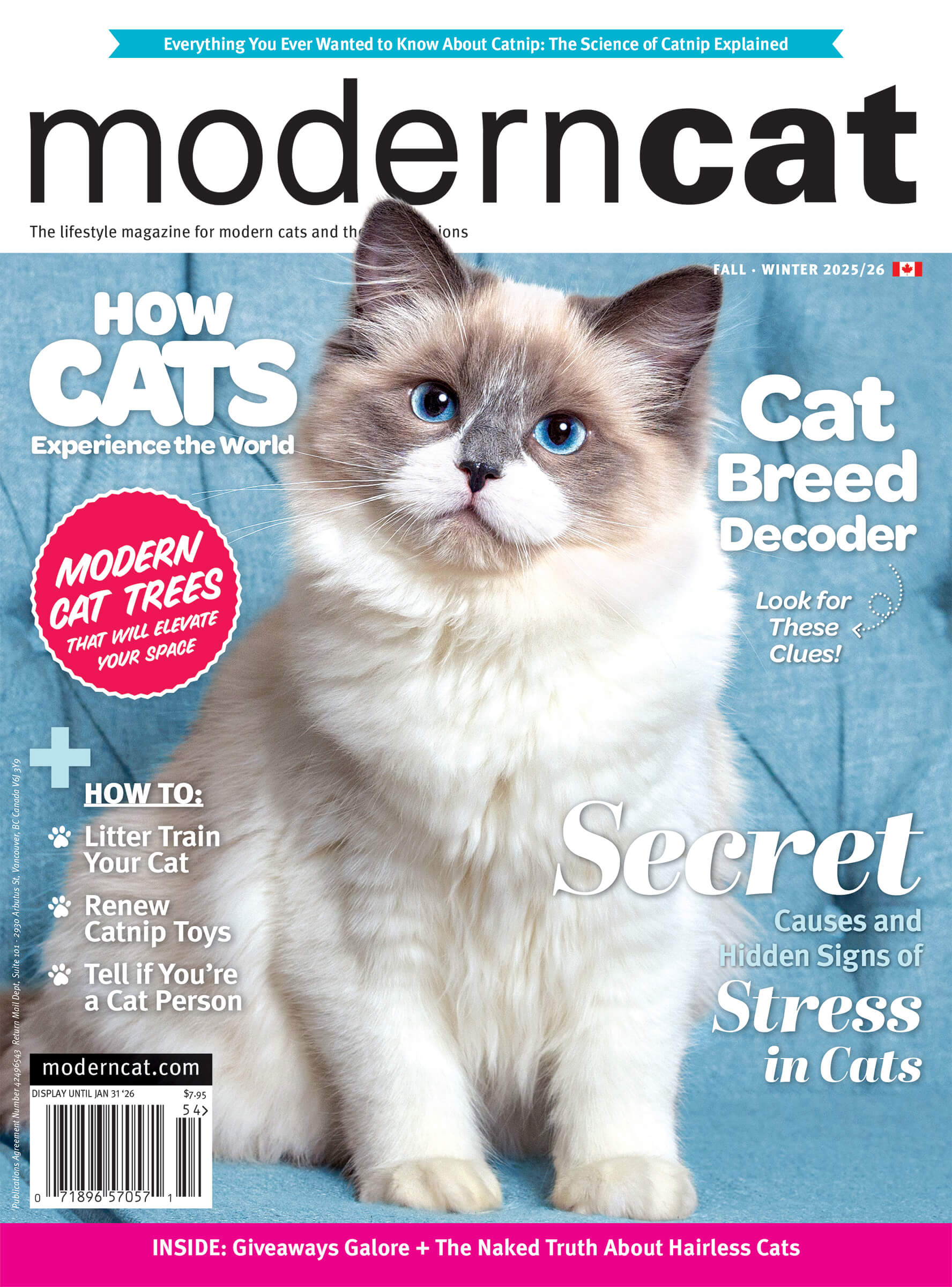 Modern Cat magazine cover featuring a cat photographed by Posh Pets® Photography, Toronto pet photographer Karen Weiler.
