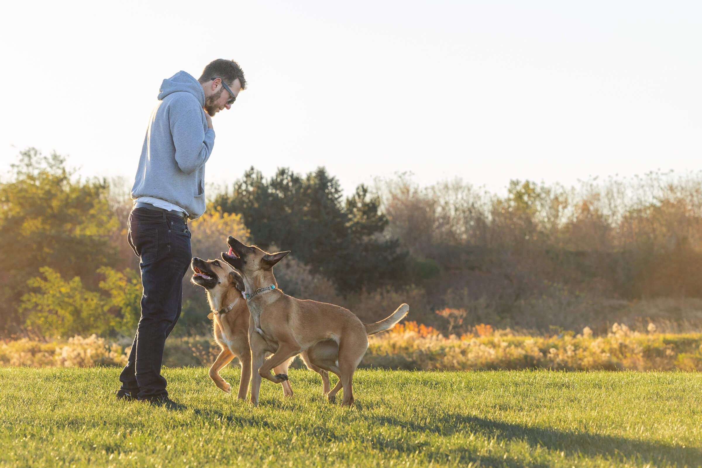 brand photography for dog trainers