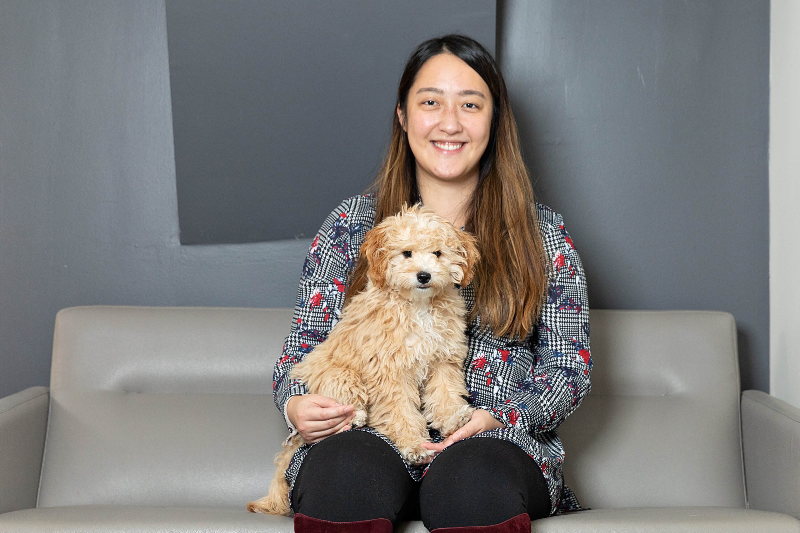 pug dog in Toronto office