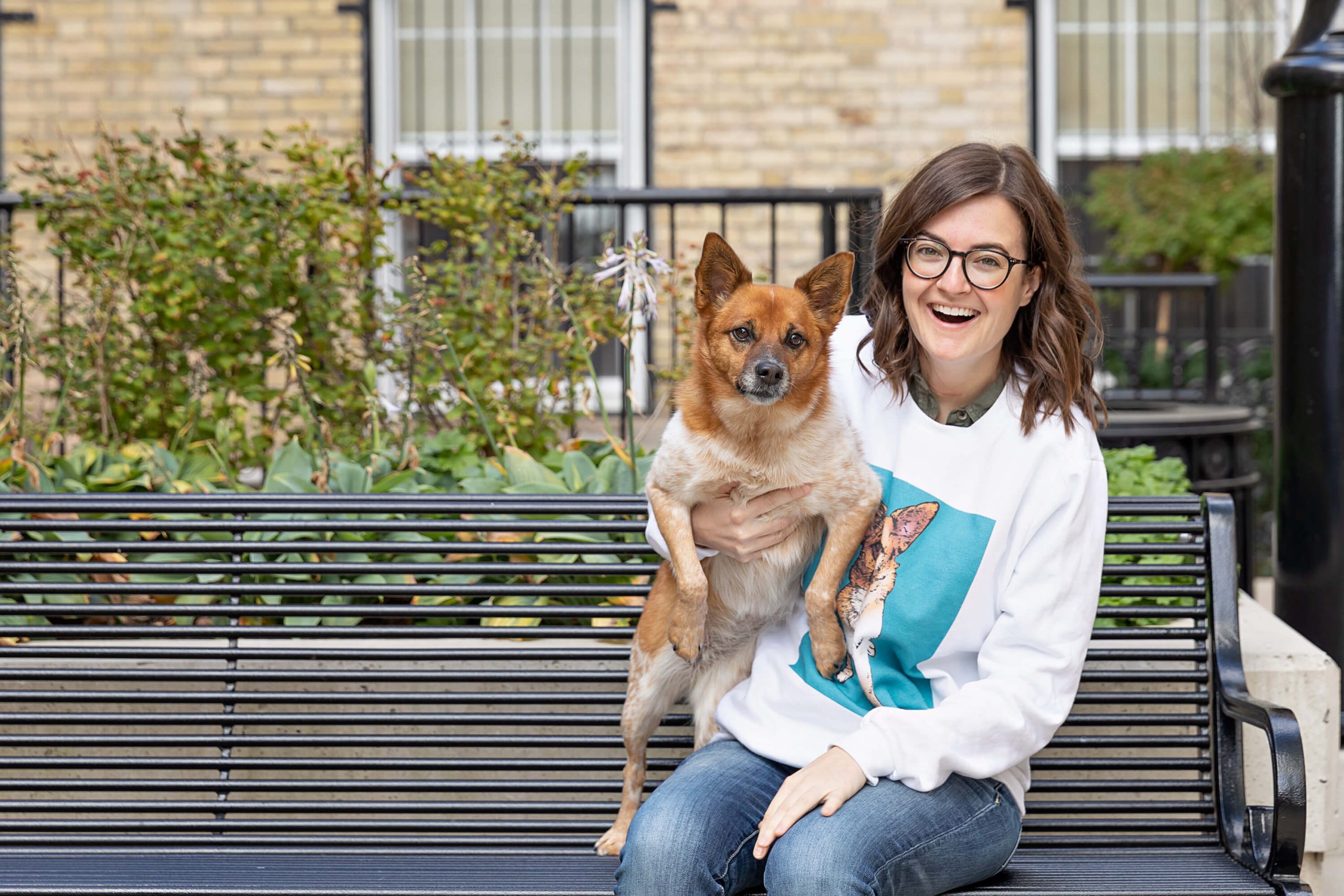 pomeranian dog in Toronto office