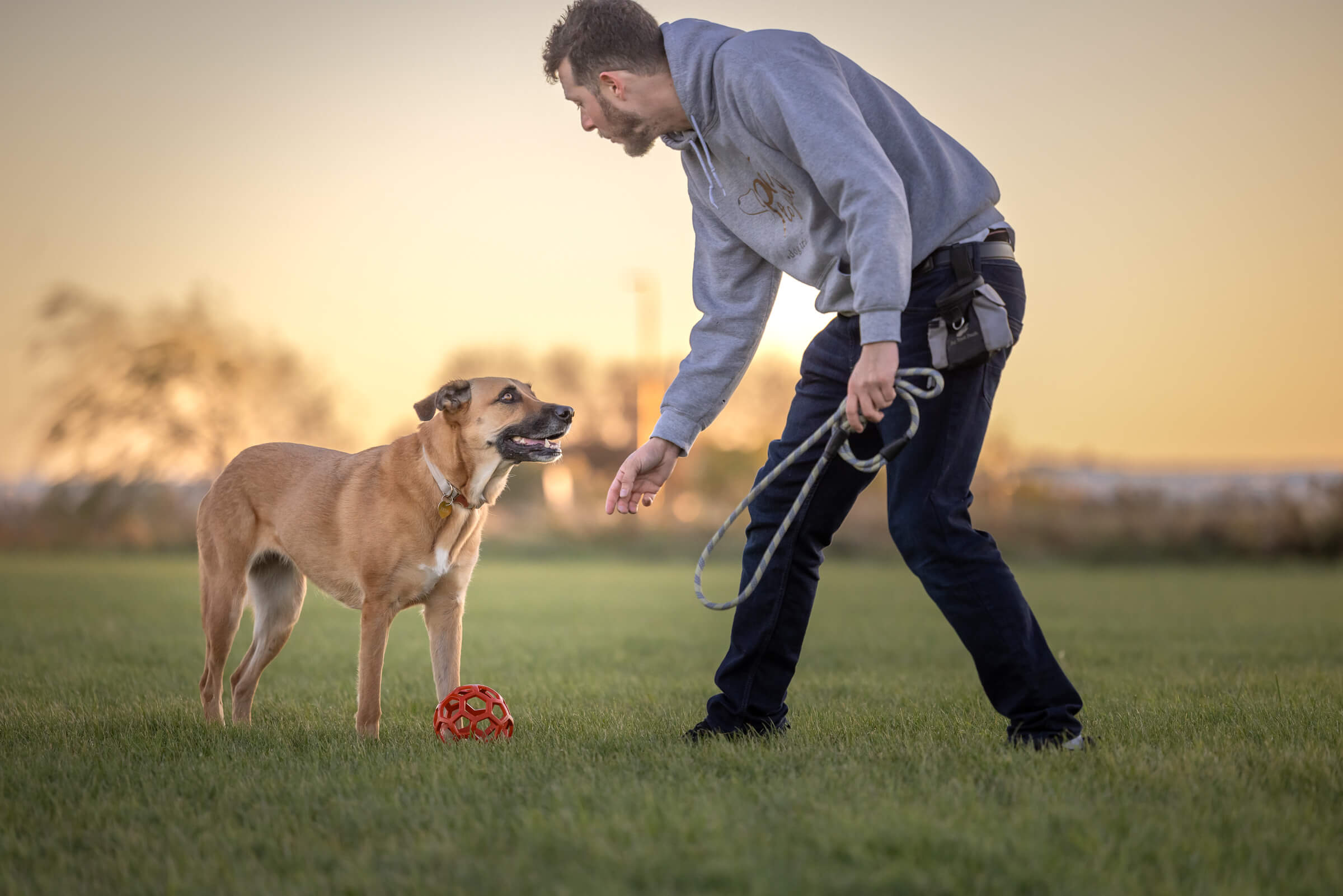 dog trainer working with his dog
