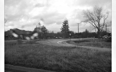 Project 52 – Breaking the Rules | Toronto Pet Photography