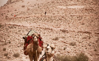 Project 52 – Vintage & Retro | Toronto Pet Photography