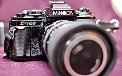 Project 52 – New | Pet Photography Toronto