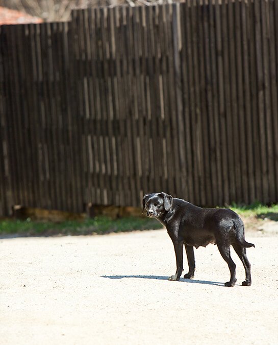 Project 52 – Landscape | Toronto Pet Photographer