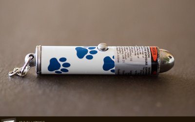 Project 52 – Favourite Toy | Pet Photographers in Toronto