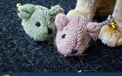 Project 52 – Accoutrements | Toronto Pet Photographer