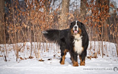 There is No Time Like the Present | Hugo’s Winter Session