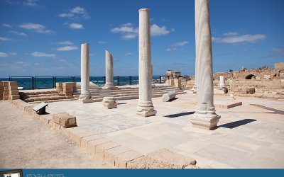 A Cat Refuge in Caesarea | International Pet Photography