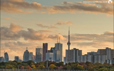2018 Family Day | Pet-Friendly Ideas in Toronto