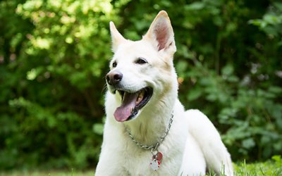 Zoe | A Beautiful Summer’s evening in The Beaches