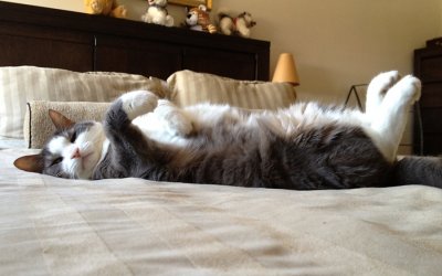 Project 52 – Motivation | Toronto Photographer