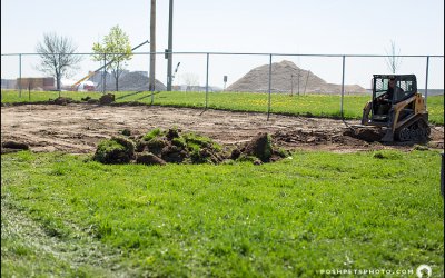 The Dog Park | Pet Photography in Toronto