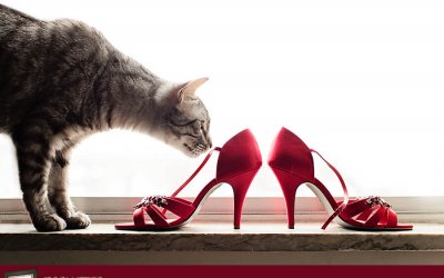 Project 52 – Shoes | Canadian Pet Photographer