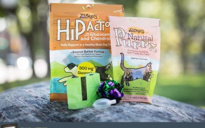 Project 52 – Accessories | Pet Photography Tools